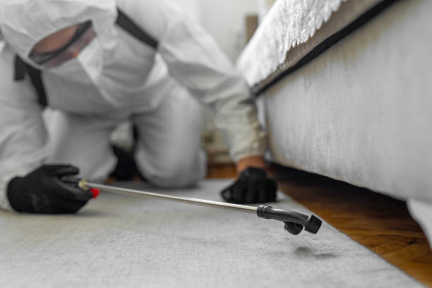 Professional Bed Bug Control technician working in Shoshone County County, ID